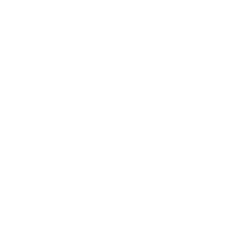 development-icon-webbureau-in-nijmegen-en-omgeving-miracle-designs